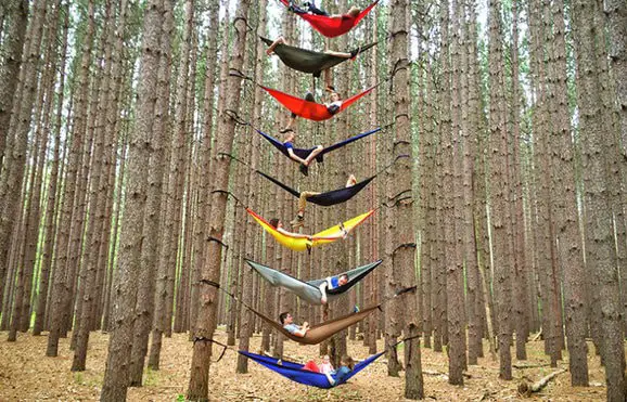 9 hammocks between two trees
