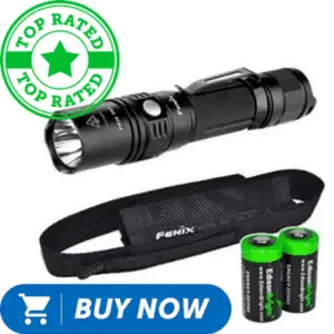 black flashlight, case, two batteries