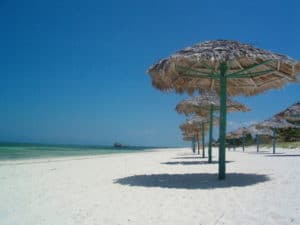 Long row of palm beach umbrellas