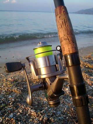 fishing rod with yellow line on shore