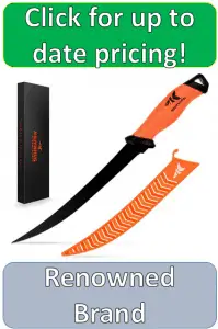 KastKing black blade fillet knife