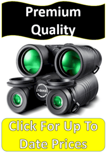 black binocular green lenses