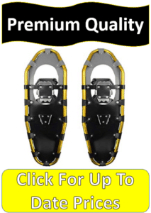 pair yellow gray snowshoes