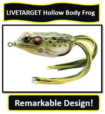 LIVETARGET Hollow Body Frog
