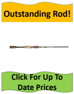 Fenwick premium fishing rod