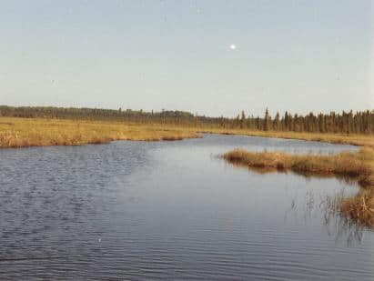 northern pike fishing habitat