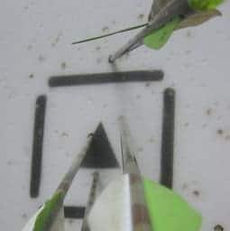 archery target with 3 arrows
