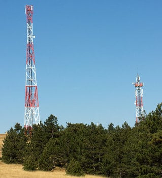 cell phone towers in pine trees