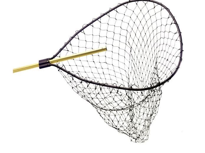 The Best Fishing Nets for Catfish Fishing OutdoorMeta