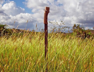 Machete sticking in the ground in a field