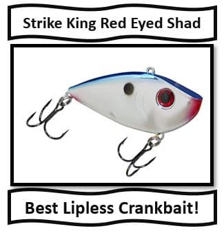 The Strike King Red Eyed Shad - best walleye crankbaits